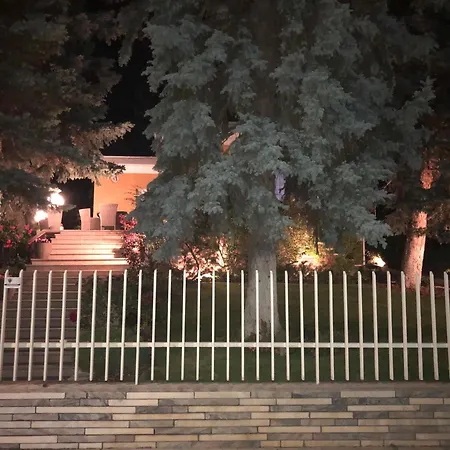 Kazinczy * 巴拉顿阿卡拉提亚