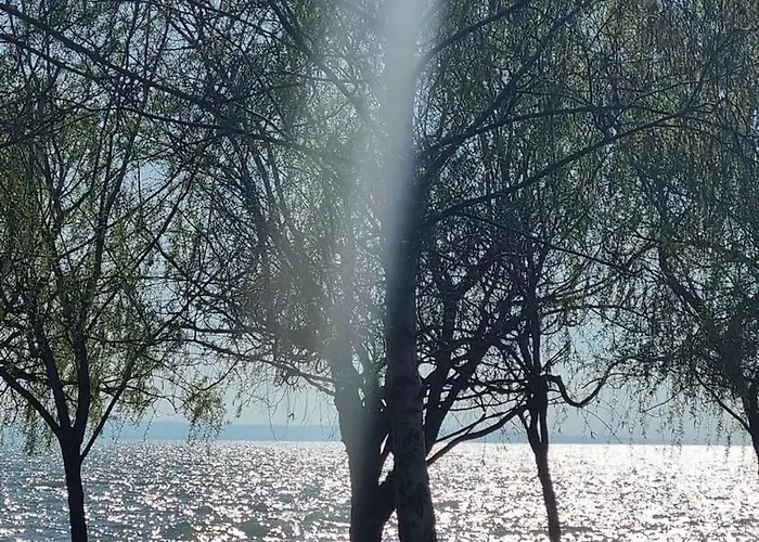 Kazinczy 巴拉顿阿卡拉提亚