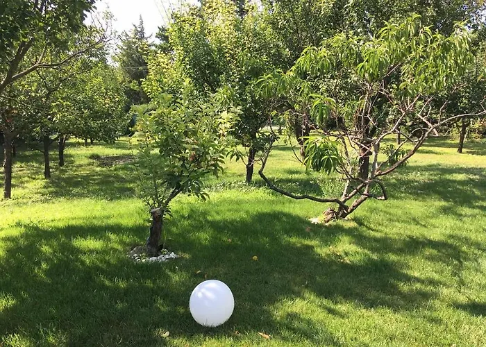 Kazinczy 巴拉顿阿卡拉提亚